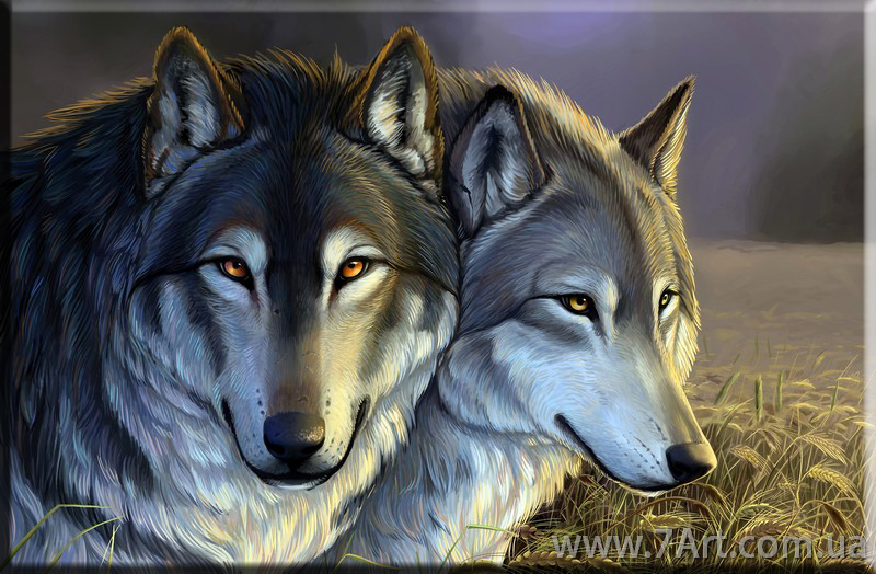 Картины Животных, Art. STUD1511462